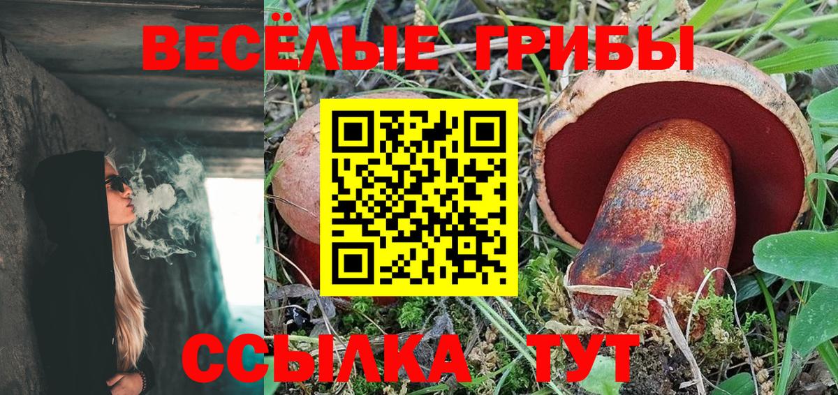 магазин    Вход с VPN  Сургут  Псилоцибиновые грибы Cubensis 