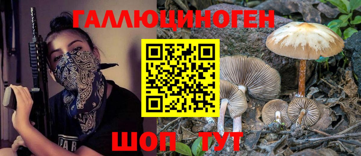 Псилоцибиновые грибы ЛСД Сургут